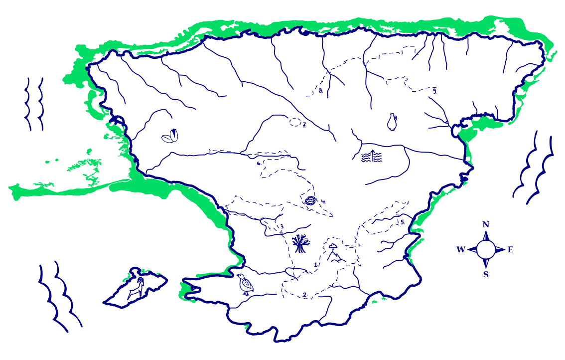 Seagrass Map of Aegina